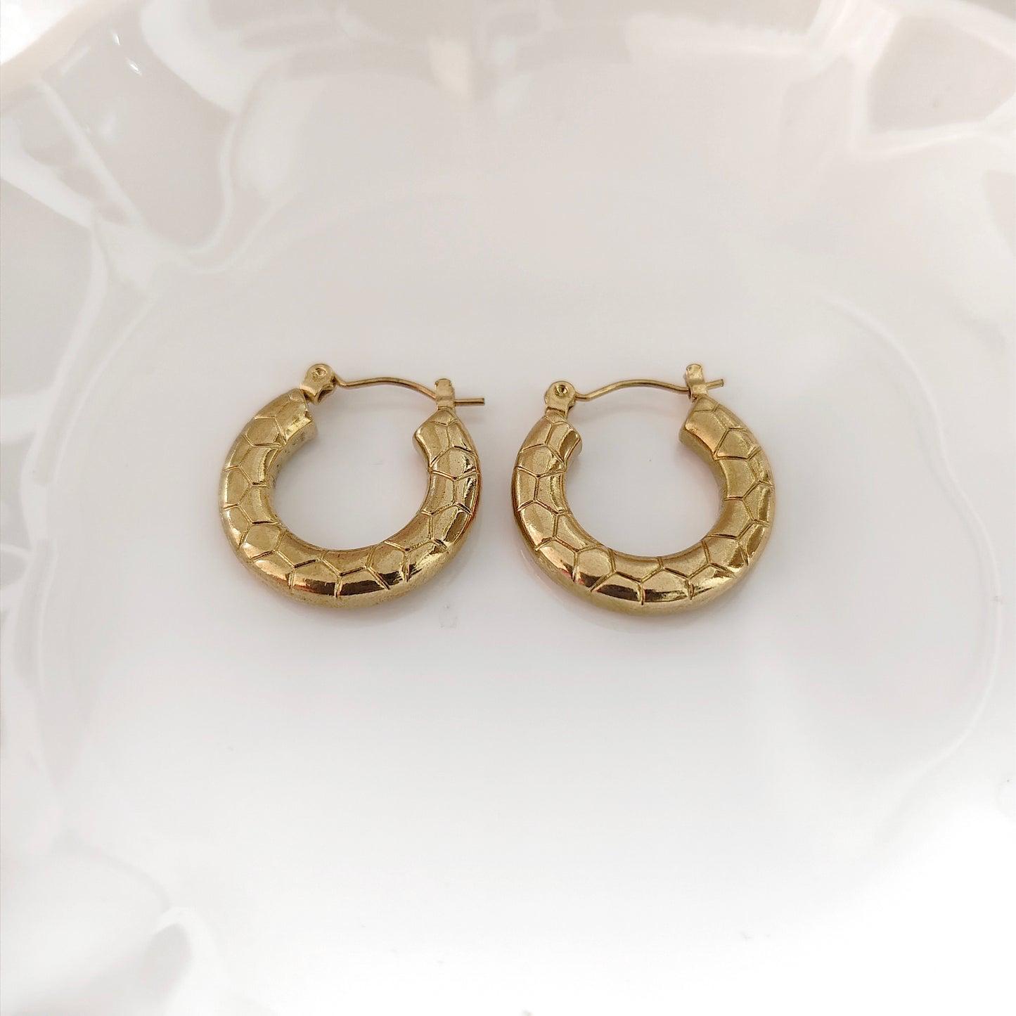 Snake Hoop Earrings