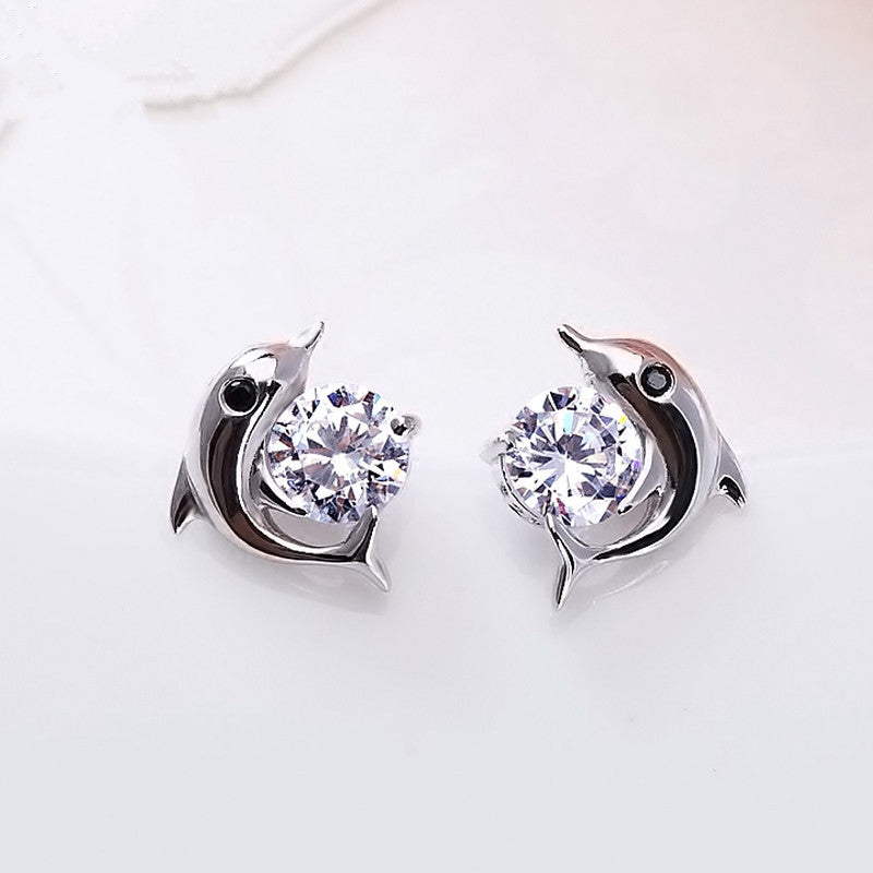 Dolphin Stud Earrings